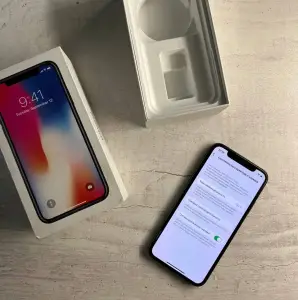 Apple iPhone X