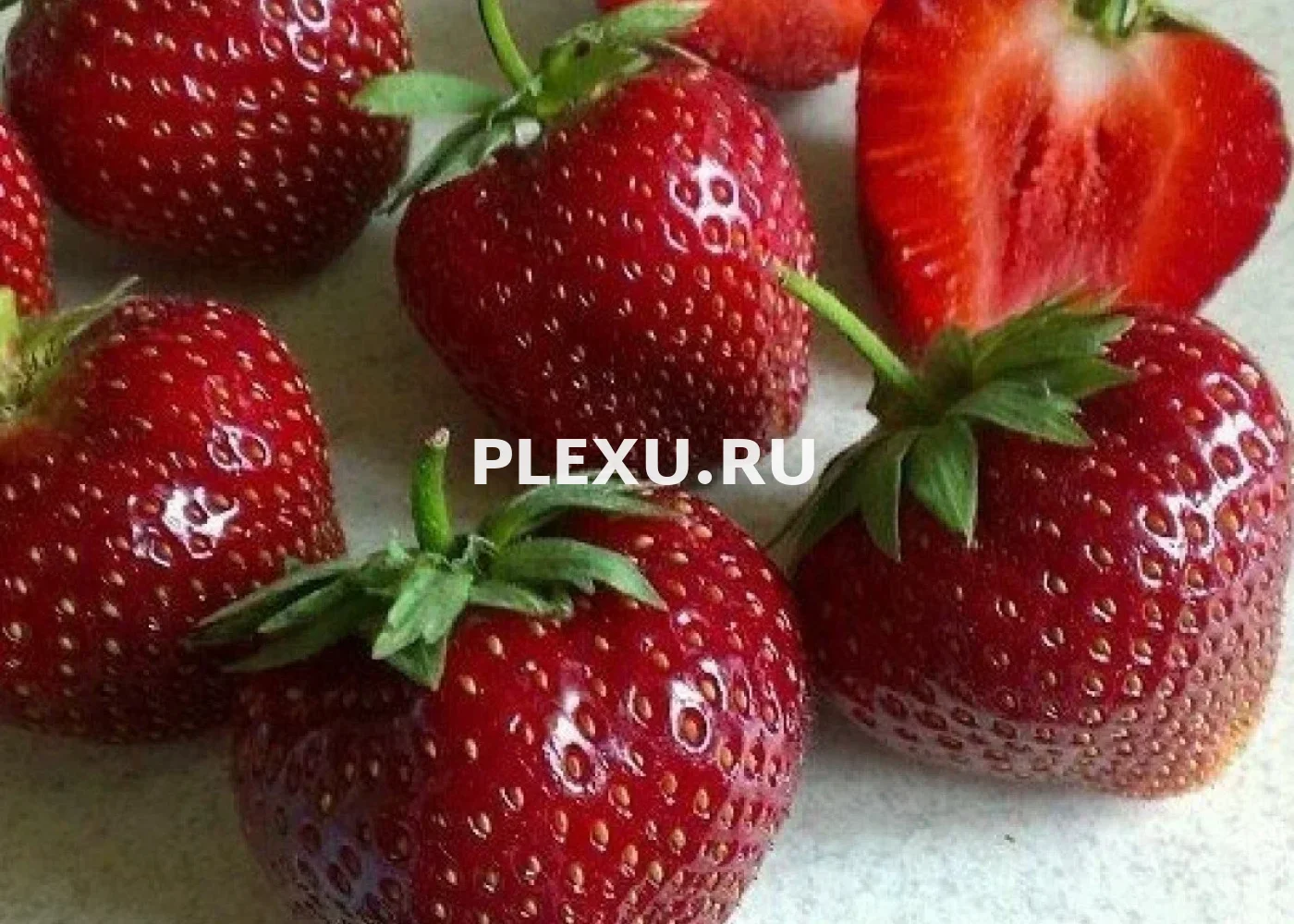 Саженец Клубники Магнус